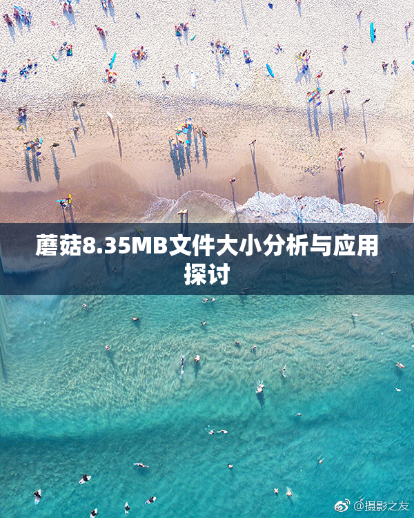 蘑菇8.35MB文件大小分析与应用探讨