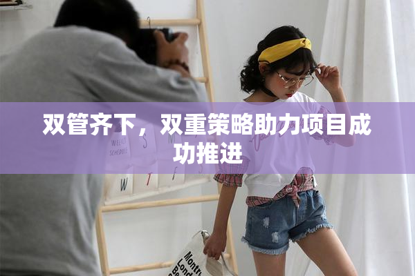 双管齐下，双重策略助力项目成功推进