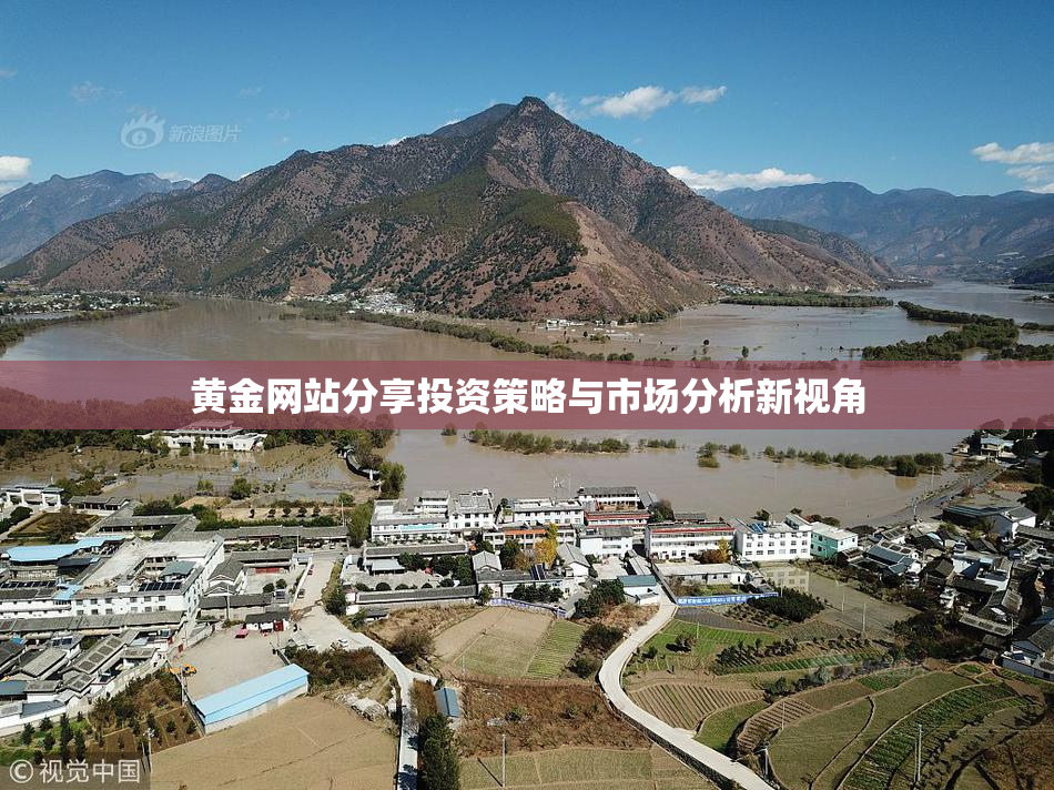 黄金网站分享投资策略与市场分析新视角