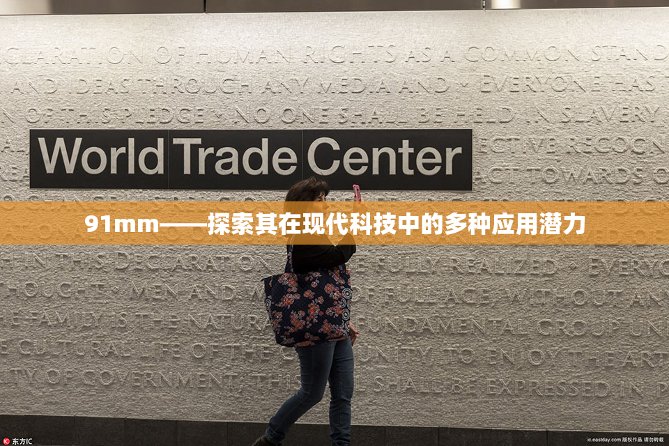 91mm——探索其在现代科技中的多种应用潜力