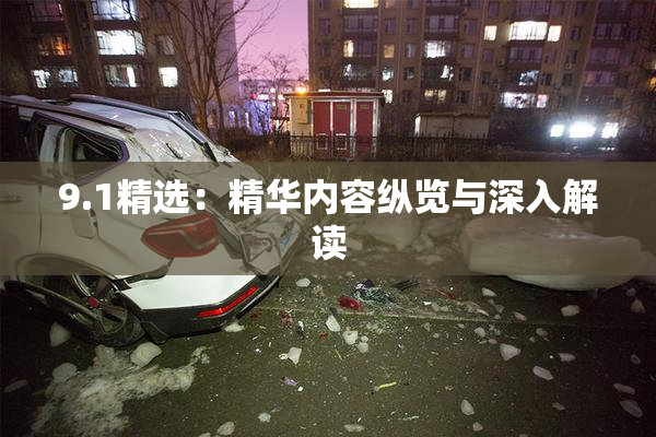 9.1精选：精华内容纵览与深入解读