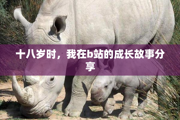 十八岁时，我在b站的成长故事分享