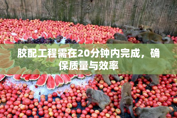 胶配工程需在20分钟内完成，确保质量与效率