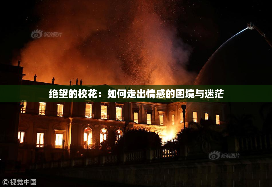 绝望的校花：如何走出情感的困境与迷茫