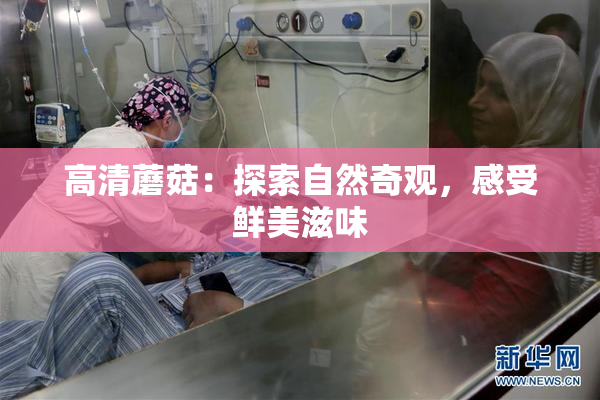 高清蘑菇：探索自然奇观，感受鲜美滋味