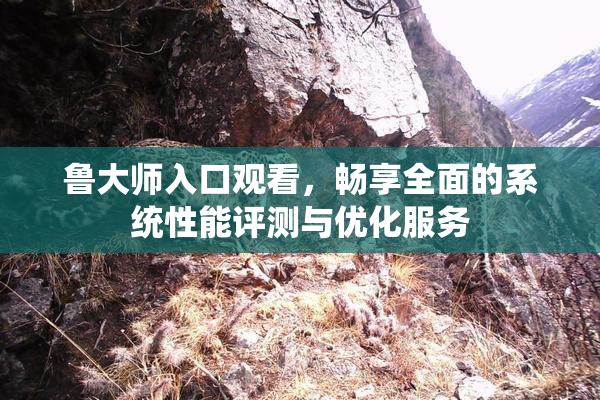 鲁大师入口观看，畅享全面的系统性能评测与优化服务