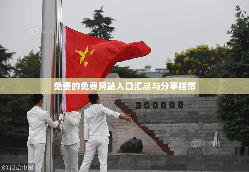免费的免费网站入口汇总与分享指南