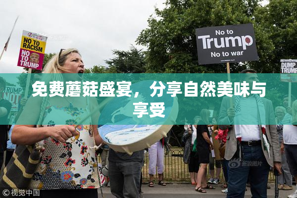 免费蘑菇盛宴，分享自然美味与享受