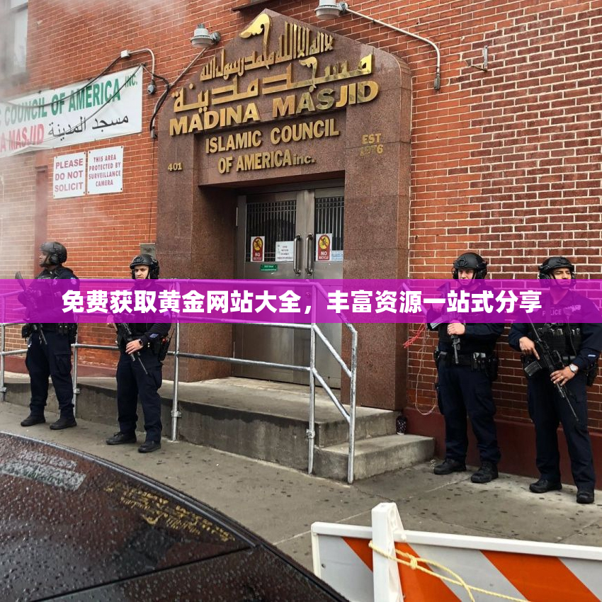 免费获取黄金网站大全，丰富资源一站式分享