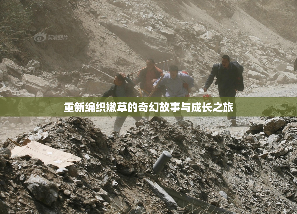 重新编织嫩草的奇幻故事与成长之旅