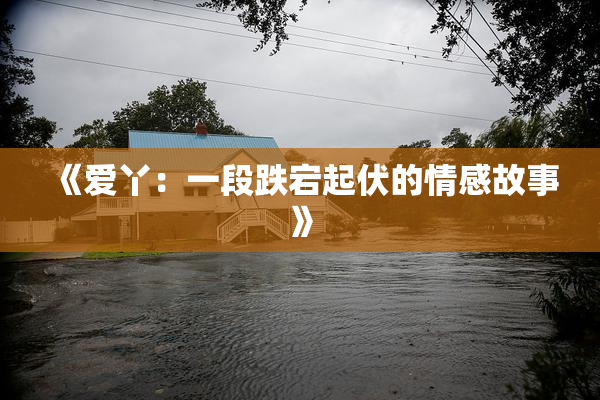 《爱丫：一段跌宕起伏的情感故事》