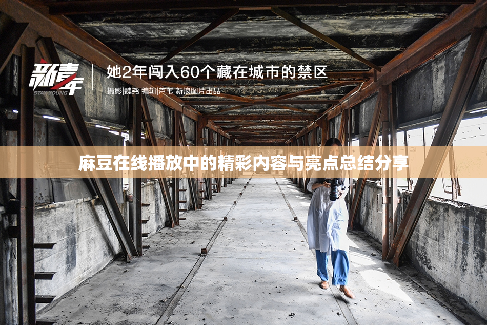 麻豆在线播放中的精彩内容与亮点总结分享
