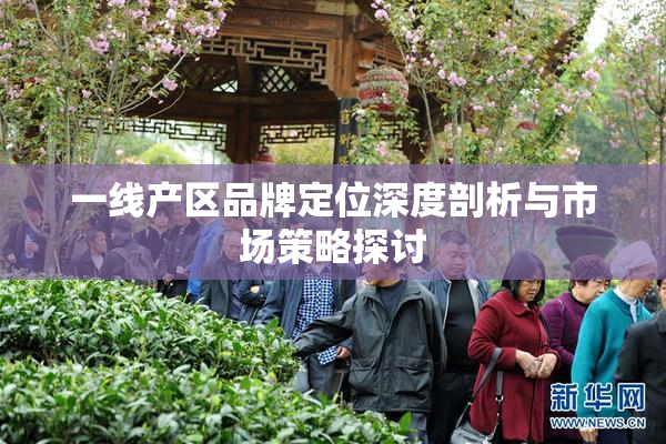 一线产区品牌定位深度剖析与市场策略探讨