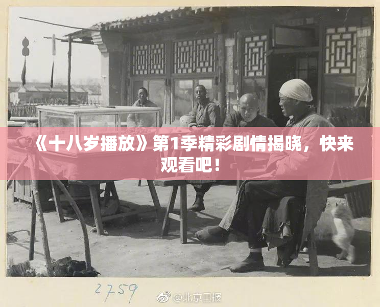 《十八岁播放》第1季精彩剧情揭晓，快来观看吧！
