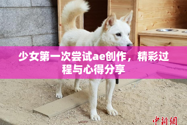 少女第一次尝试ae创作，精彩过程与心得分享