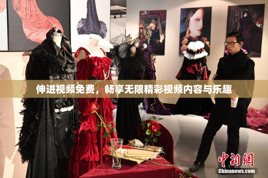 伸进视频免费，畅享无限精彩视频内容与乐趣
