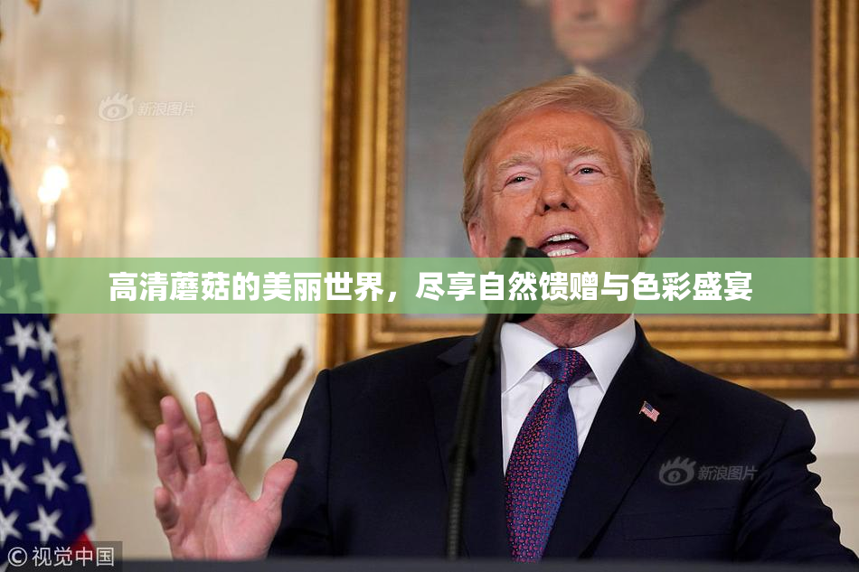高清蘑菇的美丽世界，尽享自然馈赠与色彩盛宴