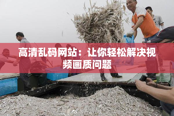 高清乱码网站：让你轻松解决视频画质问题