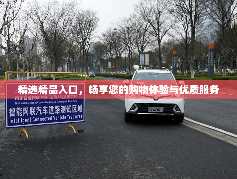 精选精品入口，畅享您的购物体验与优质服务