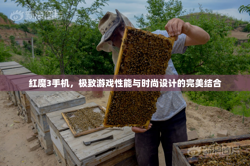 红魔3手机，极致游戏性能与时尚设计的完美结合