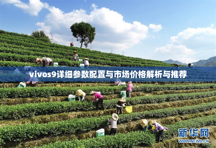 vivos9详细参数配置与市场价格解析与推荐