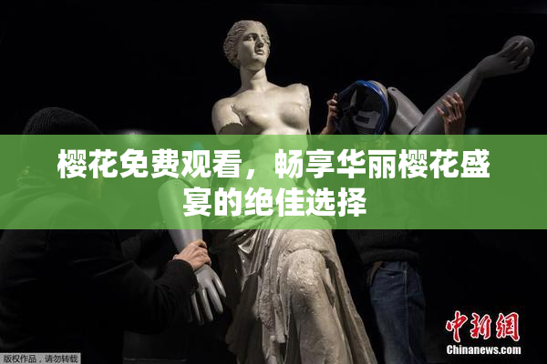 樱花免费观看，畅享华丽樱花盛宴的绝佳选择