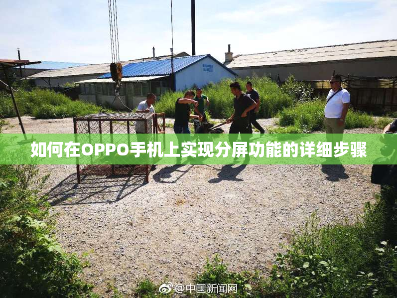 如何在OPPO手机上实现分屏功能的详细步骤