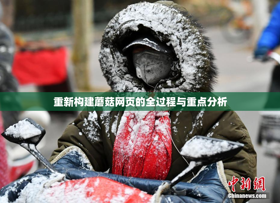 重新构建蘑菇网页的全过程与重点分析