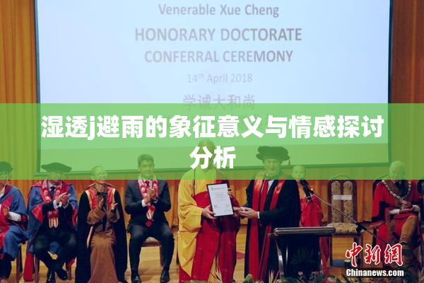 湿透j避雨的象征意义与情感探讨分析