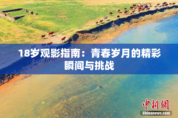 18岁观影指南：青春岁月的精彩瞬间与挑战