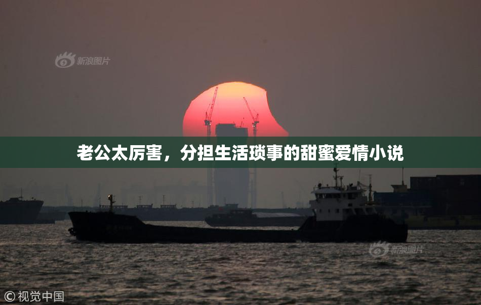 老公太厉害，分担生活琐事的甜蜜爱情小说