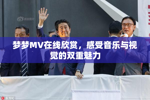 梦梦MV在线欣赏，感受音乐与视觉的双重魅力