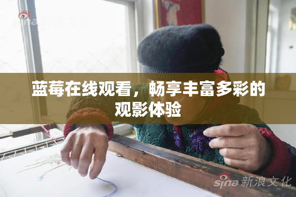 蓝莓在线观看，畅享丰富多彩的观影体验