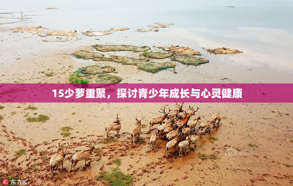 15少萝重聚，探讨青少年成长与心灵健康
