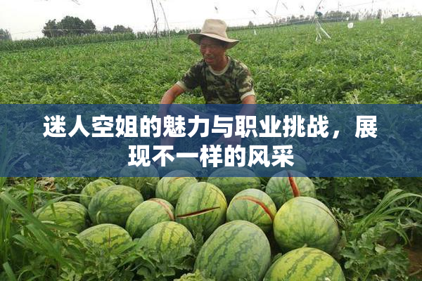 迷人空姐的魅力与职业挑战，展现不一样的风采