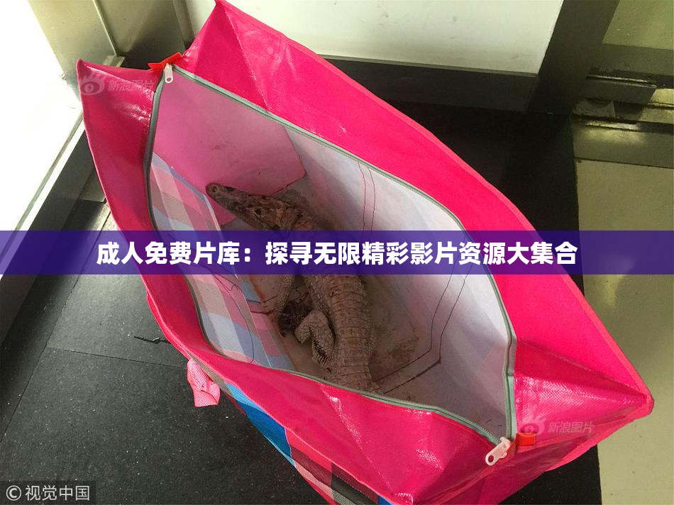 成人免费片库：探寻无限精彩影片资源大集合