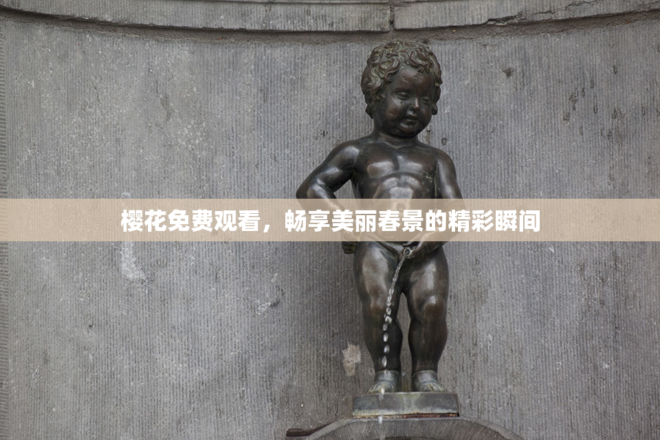 樱花免费观看，畅享美丽春景的精彩瞬间