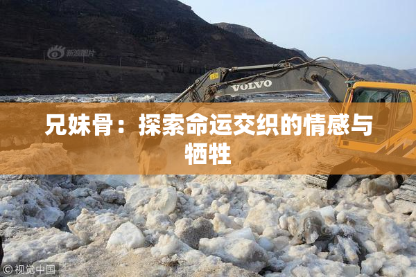 兄妹骨：探索命运交织的情感与牺牲