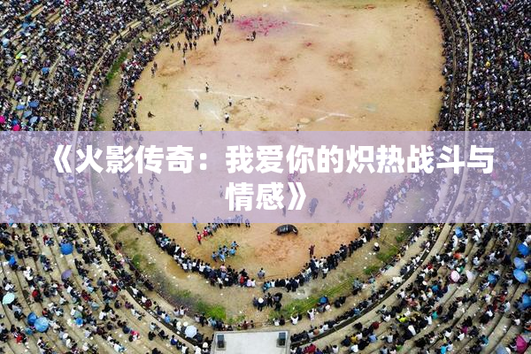 《火影传奇：我爱你的炽热战斗与情感》