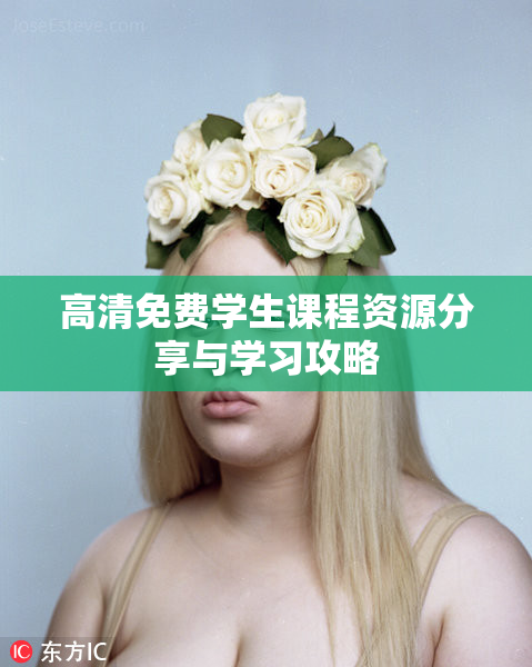 高清免费学生课程资源分享与学习攻略