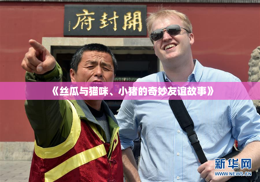 《丝瓜与猫咪、小猪的奇妙友谊故事》
