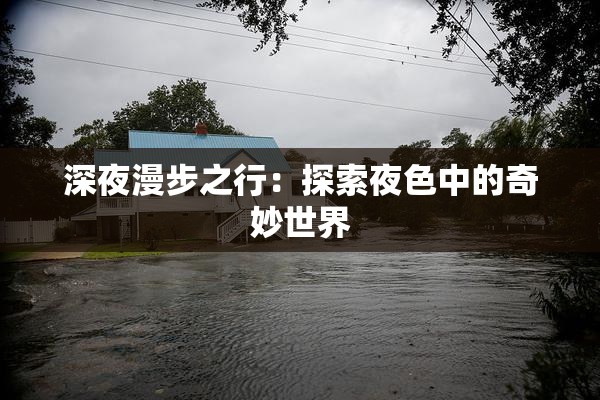 深夜漫步之行：探索夜色中的奇妙世界