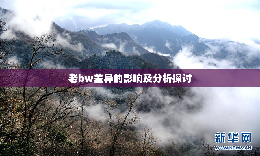 老bw差异的影响及分析探讨