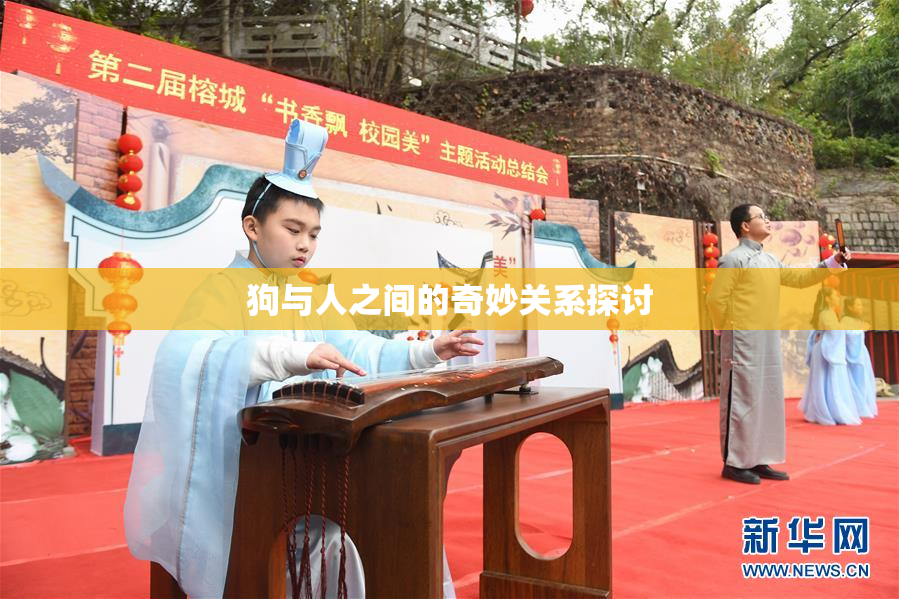 狗与人之间的奇妙关系探讨