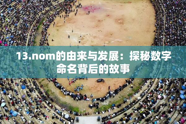 13.nom的由来与发展：探秘数字命名背后的故事