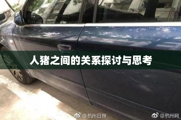 人猪之间的关系探讨与思考