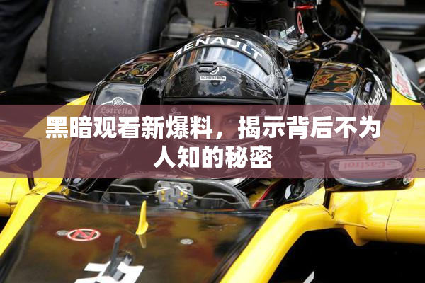 黑暗观看新爆料，揭示背后不为人知的秘密