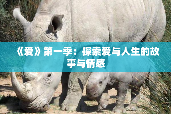 《爱》第一季：探索爱与人生的故事与情感