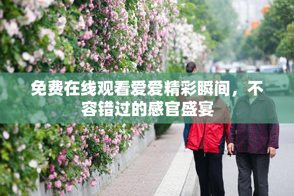 免费在线观看爱爱精彩瞬间，不容错过的感官盛宴