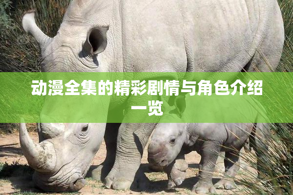 动漫全集的精彩剧情与角色介绍一览